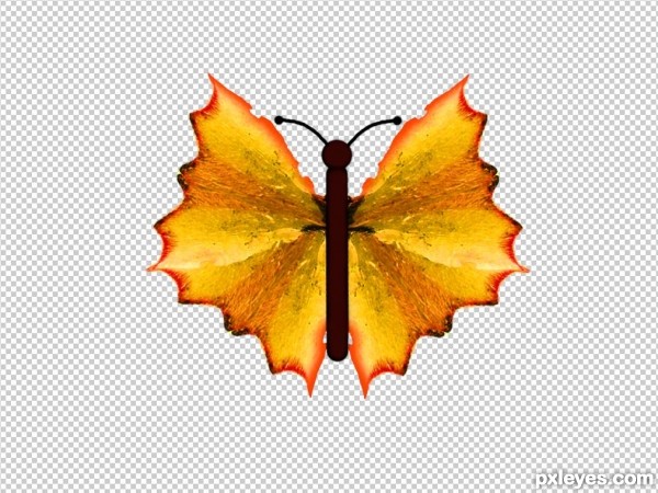 Creation of Butterfly: Step 13